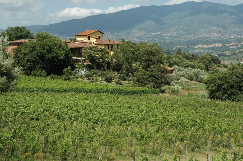 Locanda Casanuova Figline Valdarno Extérieur photo